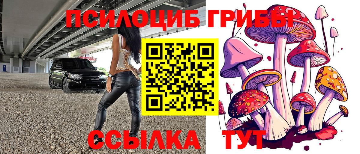 Псилоцибиновые грибы Cubensis Касимов